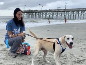 Home - Grand Strand Humane Society