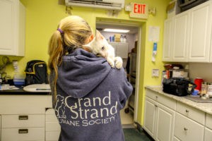 Home - Grand Strand Humane Society