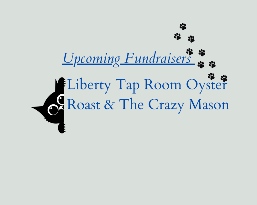 Upcoming Fundraisers